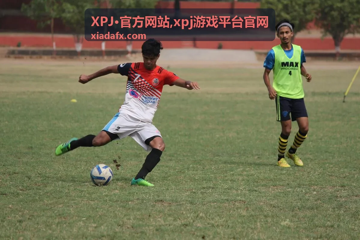 XPJ·官方网站官方入口说明封面