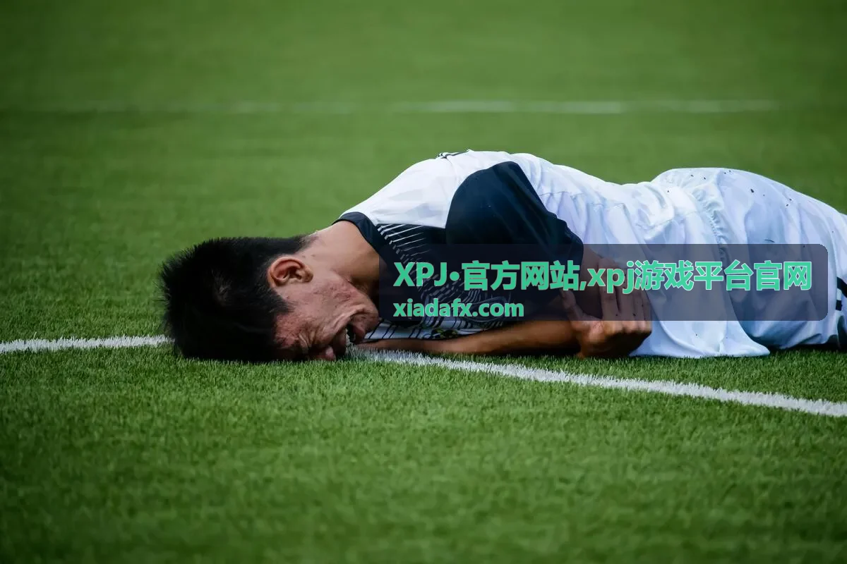 xpj游戏平台官网平台信息说明封面